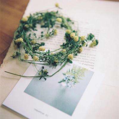 BOB综合手机截图